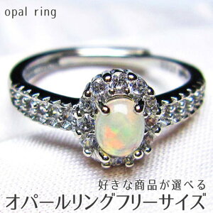 _|Cg10{5OFF^ Ip[ O w t[TCY DȏiIׂ ` vVXIp[ opal ring 10̒a VF K^ Y fB[X _ [։ [M 1