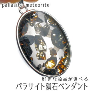 �p���T�C�g 覐� �y���_���g �D���ȏ��i���I�ׂ� �y���_���g�g�b�v pallasite meteorite pendant ���e�I���C�g �p���[�X�g�[�� �V�R�� ��_�� ��������