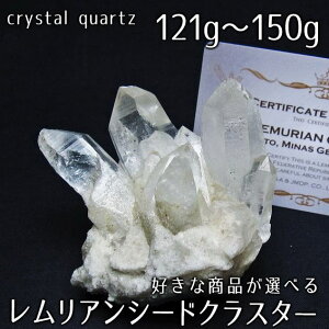  NX^[  121g`150g DȏiIׂ AV[h NX^ uW ~iXWFCXB RgY u VR  J^ 傤  gC _ 