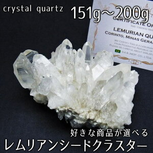  NX^[  151g`200g DȏiIׂ AV[h NX^ uW ~iXWFCXB RgY u VR  J^ 傤  gC _ 