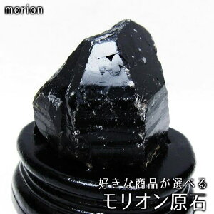 I    RȎY 420g` DȏiIׂ morion VR p[Xg[ t _ 