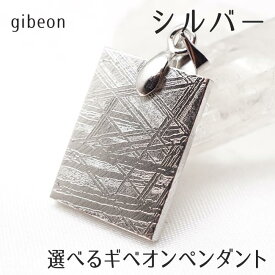 ギベオン ペンダント 隕石 好きな商品が選べる シルバー メテオライト ペンダントトップ pendant メンズ レディース 一点物 送料無料