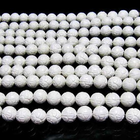 シャコガイ 一連 13.5mm ビーズ アクセサリーパーツ ハンドメイド ランダム発送 メール便可 [M便 1/5] 714-43