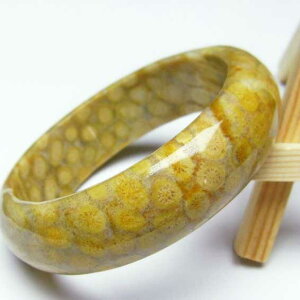 X tHbVR[ oO ΎX Fossil Coral eڐ bangle Y fB[X uX _ [] 111-1379