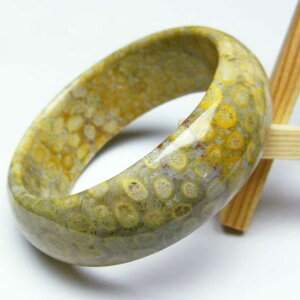 X tHbVR[ oO Fossil Coral bangle ΎX eڐ Y fB[X uX _ [] 111-1381