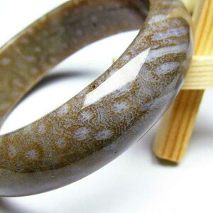 X tHbVR[ oO ΎX Fossil Coral eڐ bangle Y fB[X uX _ [] 111-1389