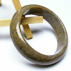 X tHbVR[ oO Fossil Coral bangle ΎX eڐ Y fB[X uX _ [] 111-1390