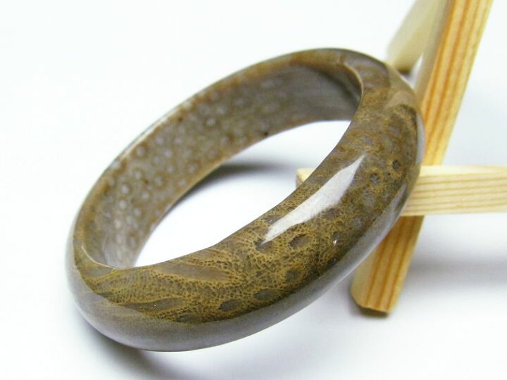楽天市場】珊瑚 フォッシルコーラル バングル Fossil Coral bangle 