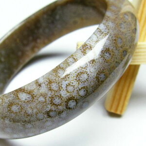X tHbVR[ oO Fossil Coral bangle ΎX eڐ Y fB[X uX _ [] 111-1393