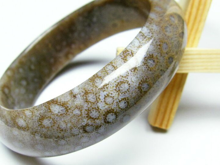 楽天市場】珊瑚 フォッシルコーラル バングル Fossil Coral bangle  