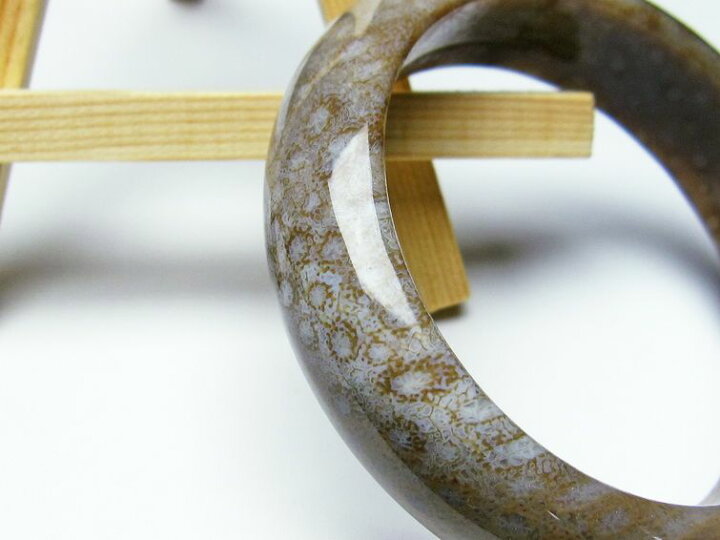 楽天市場】珊瑚 フォッシルコーラル バングル Fossil Coral bangle 