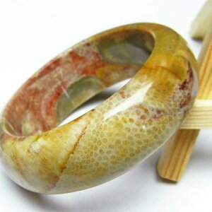 X tHbVR[ oO Fossil Coral bangle ΎX eڐ Y fB[X uX _  [M 1/10] 111-1394