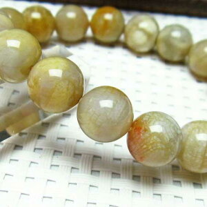 _PT5{ő2,000~OFF^ X tHbVR[ uXbg 11mm ΎX uX Fossil Coral eڐ bracelet Y fB[X _  [M 1/10] 111-1420