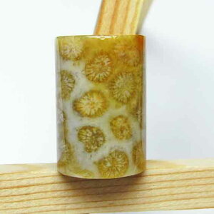 X tHbVR[  Ȃ ΎX ^u Fossil Coral   p[Xg[ VR _ [։ [M 1/10] 145-68