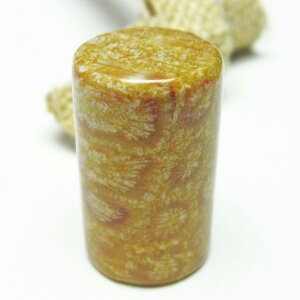 X tHbVR[  Ȃ ΎX Fossil Coral ^u   p[Xg[ VR _ [։ [M 1/10] 112-3885