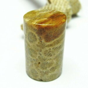 _|Cg10{5OFF^ tHbVR[  X p[Xg[ _ [։ [M 1/10] 112-3888