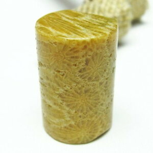 tHbVR[  X p[Xg[ _ [։ [M 1/10] 112-3893