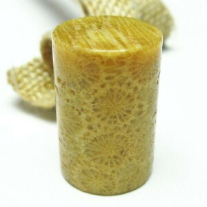 _|Cg10{ő3~OFF^ tHbVR[  X p[Xg[ _ [։ [M 1/10] 112-3899