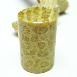 _|Cg10{ő3~OFF^ tHbVR[  X p[Xg[ _ [։ [M 1/10] 112-3904