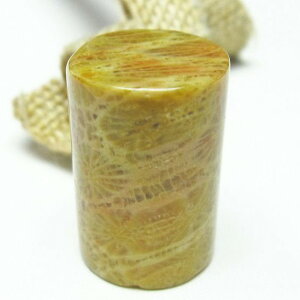 _|Cg10{5OFF^ tHbVR[  X p[Xg[ _ [։ [M 1/10] 112-3908