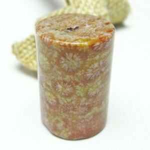 tHbVR[  X p[Xg[ _ [։ [M 1/10] 112-3909