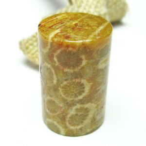 _|Cg10{5OFF^ tHbVR[  X p[Xg[ _ [։ [M 1/10] 112-3915