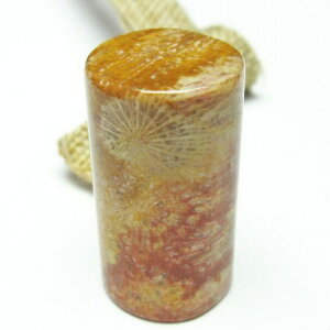 _|Cg10{5OFF^ X tHbVR[  Ȃ ΎX Fossil Coral ^u   p[Xg[ VR _ [։ [M 1/10] 112-3916