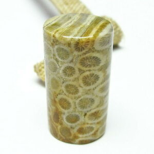 _|Cg10{5OFF^ tHbVR[  X p[Xg[ _ [։ [M 1/10] 112-3922