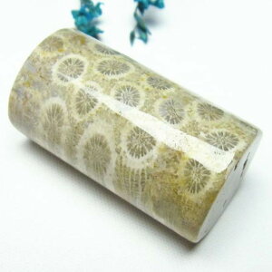 _|Cg10{5OFF^ X tHbVR[  Ȃ ΎX Fossil Coral ^u   p[Xg[ VR _ [։ [M 1/10] 112-3924