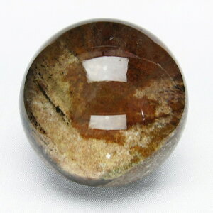 ۋ K[fNH[c 63mm t garden quartz ۓ萅 u 뉀   CeA K[f _  151-2542