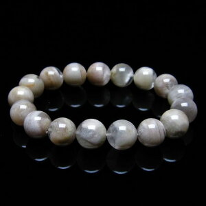 t@gNH[c uXbg 12mm zCgt@g e uX Phantom Quartz NH[c R Y fB[X _ [։ [M 1/10] 111-17933