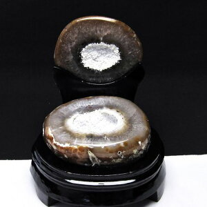 gW[mE AQ[g 󃁃mE ڕ~ AQbg   agate u WI[h   J^ Y fB[X t _ [] 175-498