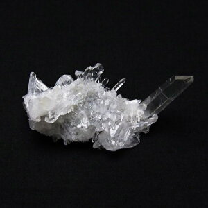 _P5{ő1,000~OFF^  NX^[   lȎY crystal quartz 򉻗p CeA VR ~jNX^[ 傤 _ 172-1797