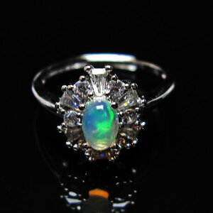 Ip[ w O vVXIp[ t[TCY VF ` Opal Ring Y fB[X _ [։ [M 1/20] 115-2839