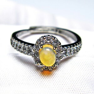 Ip[ w O 13 t[TCY \ Opal vVXIp[ ` Ring VF K^ 10̒a Y fB[X _ [։ [M 1/20] 115-4223