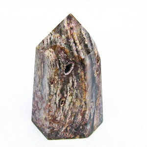 K[fNH[c Zp ۓ萅  뉀 |Cg K[ft@g gardenquartz K[f Y fB[X _ 142-4681