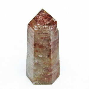 K[fNH[c Zp gardenquartz |Cg ۓ萅 K[ft@g 뉀  K[f Y fB[X _ 142-4720