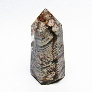 K[fNH[c Zp ۓ萅  뉀 |Cg K[ft@g gardenquartz K[f Y fB[X _ 142-4731