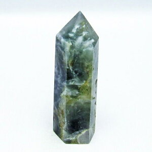 �G���W�F���t�F�U�[ �t���[���C�g �|�C���g �Z�p�� fluorite �u�� �ق���� ��_�� 142-5522