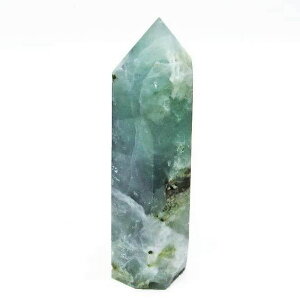 �G���W�F���t�F�U�[ �t���[���C�g �|�C���g �Z�p�� fluorite �u�� �ق���� ��_�� 142-5526