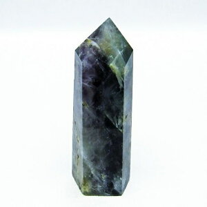 �G���W�F���t�F�U�[ �t���[���C�g �|�C���g �Z�p�� fluorite �u�� �ق���� ��_�� �������� 142-5532