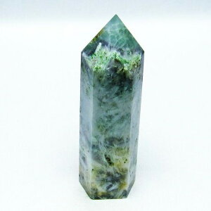 �G���W�F���t�F�U�[ �t���[���C�g �Z�p�� �|�C���g fluorite �t���I���C�g �u�� ���� 壐� �u�� �u�� �ق���� �C���e���A �����Y ���f�B�[�X ��_�� 142-5535