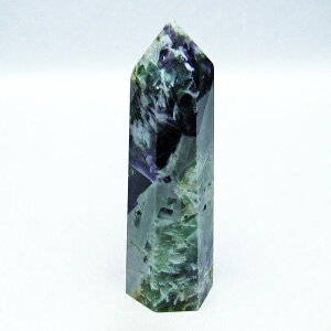 �G���W�F���t�F�U�[ �t���[���C�g �|�C���g �Z�p�� fluorite �u�� �ق���� ��_�� 142-5538