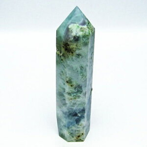 �G���W�F���t�F�U�[ �t���[���C�g �|�C���g �Z�p�� fluorite �u�� �ق���� ��_�� �������� 142-5550