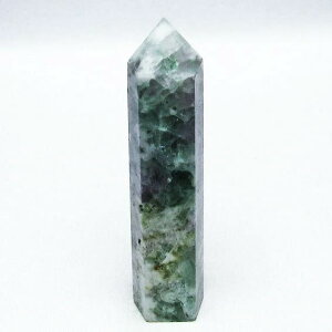 �G���W�F���t�F�U�[ �t���[���C�g �Z�p�� �|�C���g �t���I���C�g 壐� �u�� �u�� fluorite �u�� ���� �ق���� �C���e���A �����Y ���f�B�[�X ��_�� 142-5585