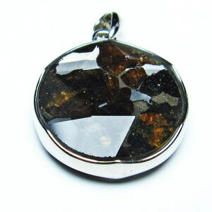pTCg 覐 y_g q Pallasite Meteorite Ir eICg ΓS覐 pendant y_ggbv p[Xg[ VR _ [] 112-8959