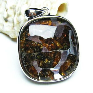 �p���T�C�g 覐� �y���_���g �I���r�� �ΓS覐� �y���_���g�g�b�v Pallasite Meteorite pendant ���e�I���C�g �p���[�X�g�[�� �V�R�� ��_�� [��������] 112-9010