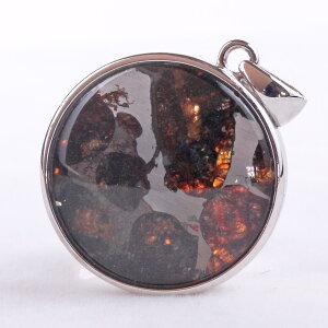 �p���T�C�g 覐� �y���_���g ���e�I���C�g �y���_���g�g�b�v Pallasite Meteorite �ΓS覐� �I���r�� �p���[�X�g�[�� �V�R�� ��_�� [��������] 112-9113