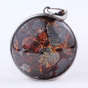 �p���T�C�g 覐� �y���_���g ���e�I���C�g �y���_���g�g�b�v Pallasite Meteorite �ΓS覐� �I���r�� �p���[�X�g�[�� �V�R�� ��_�� [��������] 112-9117
