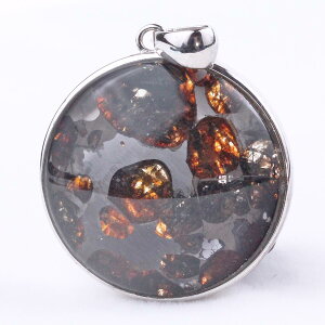 �p���T�C�g 覐� �y���_���g Pallasite Meteorite �I���r�� ���e�I���C�g �ΓS覐� pendant �y���_���g�g�b�v �p���[�X�g�[�� �V�R�� ��_�� [��������] 112-9119